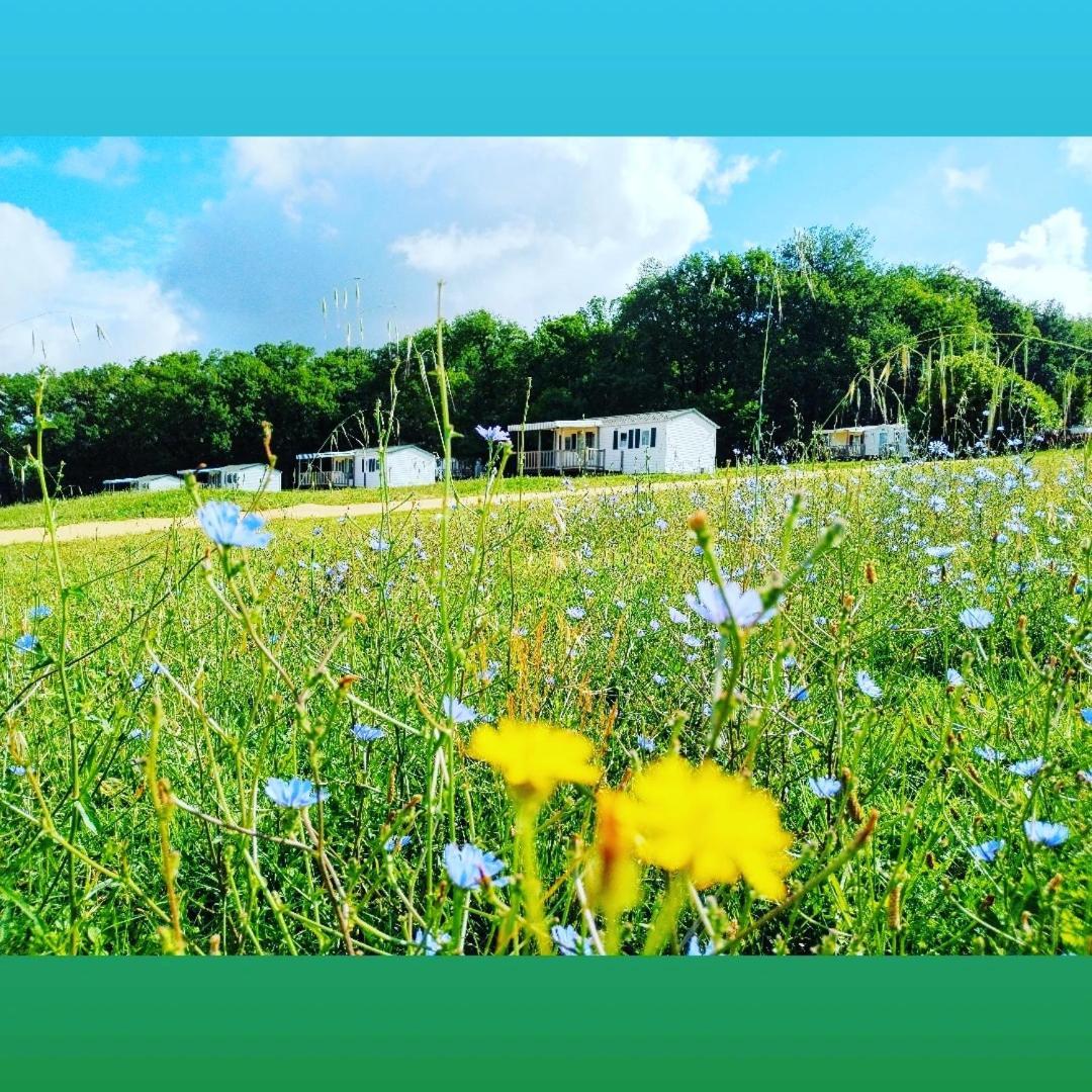 Camping Nature Le Valenty Mobil-Home-Dordogne Panoramique Clim Piscine Soturac Екстериор снимка