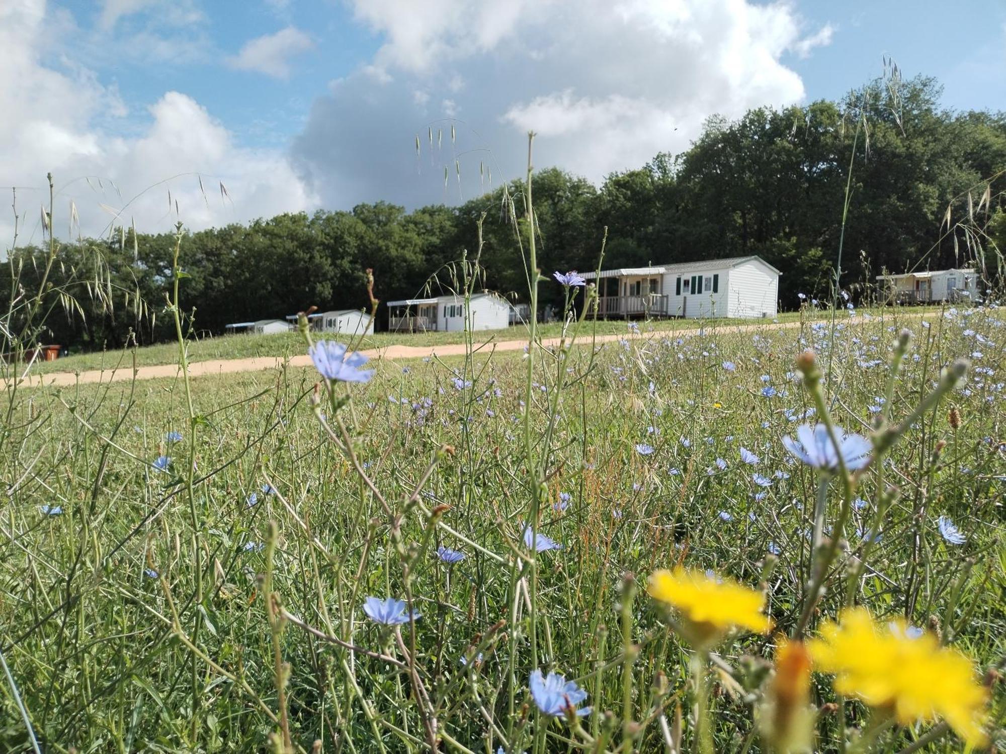 Camping Nature Le Valenty Mobil-Home-Dordogne Panoramique Clim Piscine Soturac Екстериор снимка