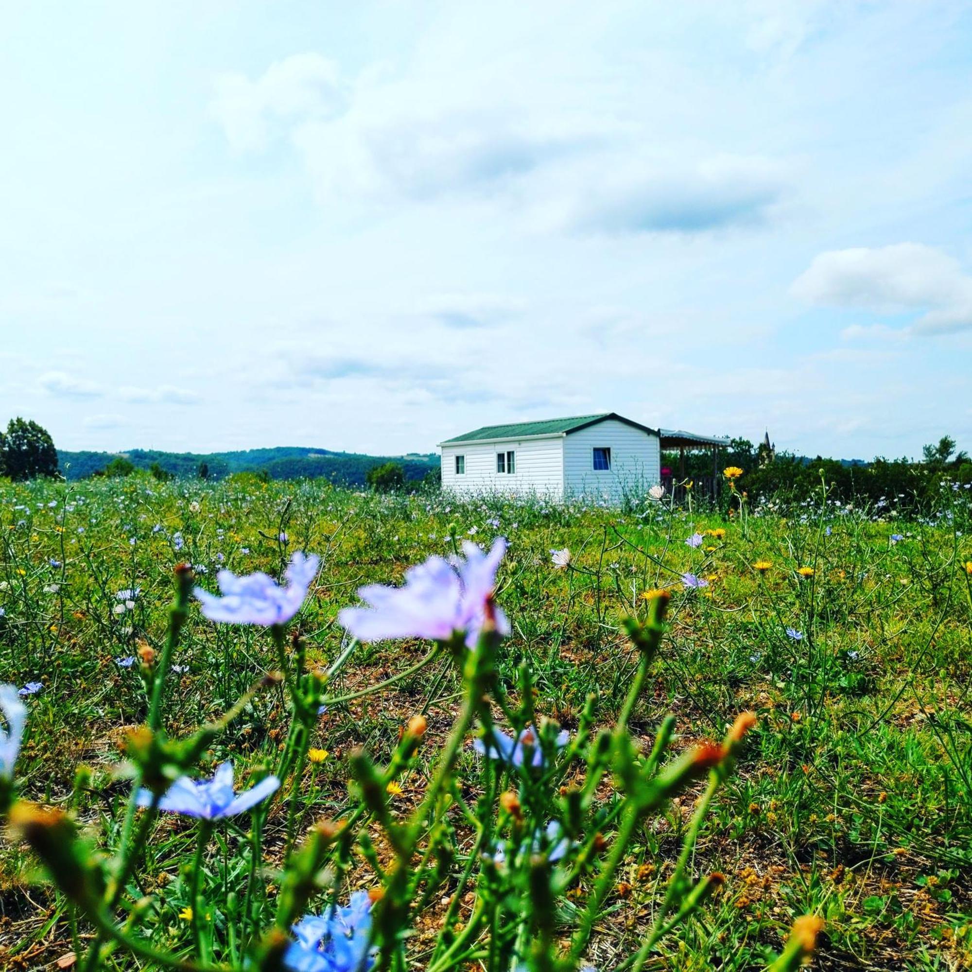 Camping Nature Le Valenty Mobil-Home-Dordogne Panoramique Clim Piscine Soturac Екстериор снимка