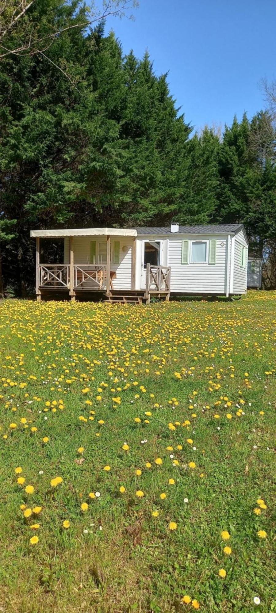 Camping Nature Le Valenty Mobil-Home-Dordogne Panoramique Clim Piscine Soturac Екстериор снимка